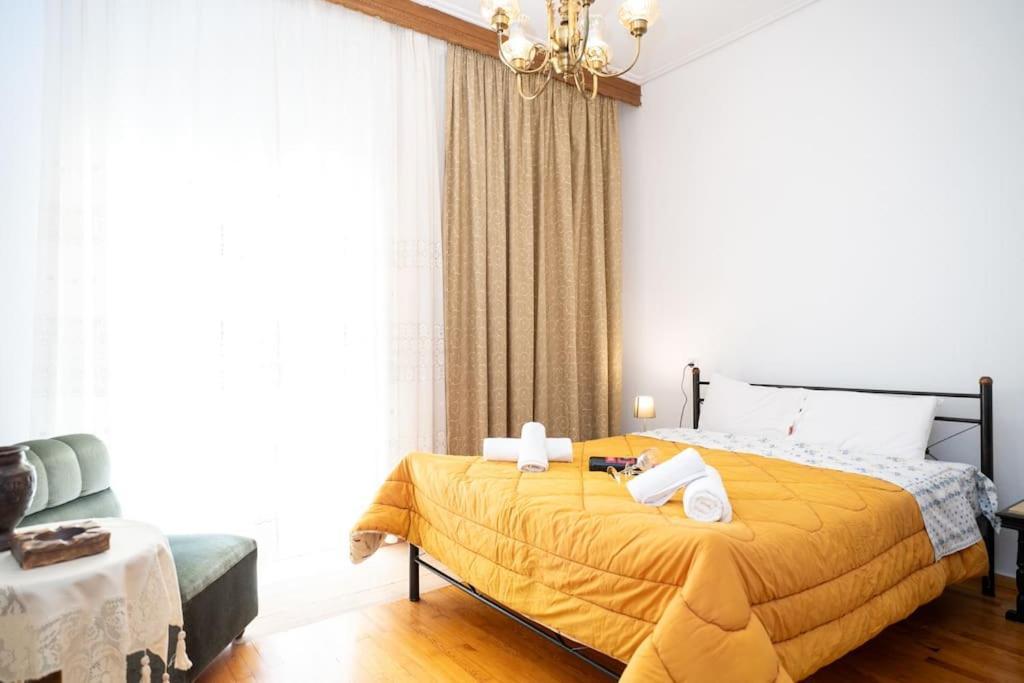 Theoni Central Apartment Каламбака Екстер'єр фото