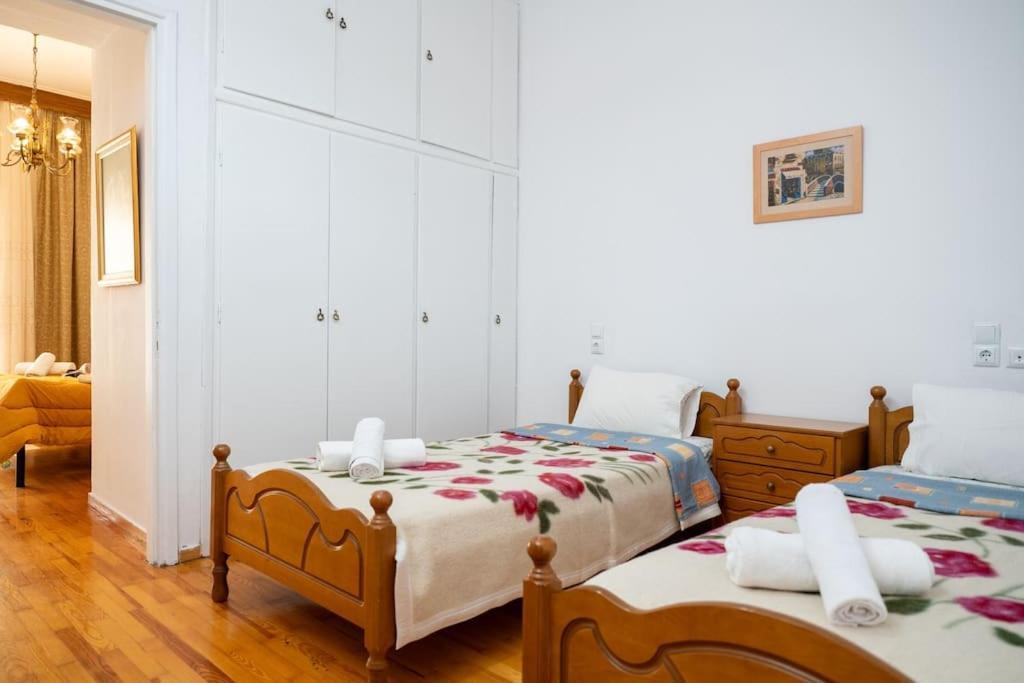 Theoni Central Apartment Каламбака Екстер'єр фото