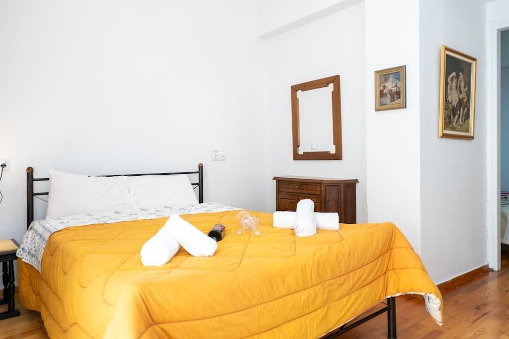Theoni Central Apartment Каламбака Екстер'єр фото