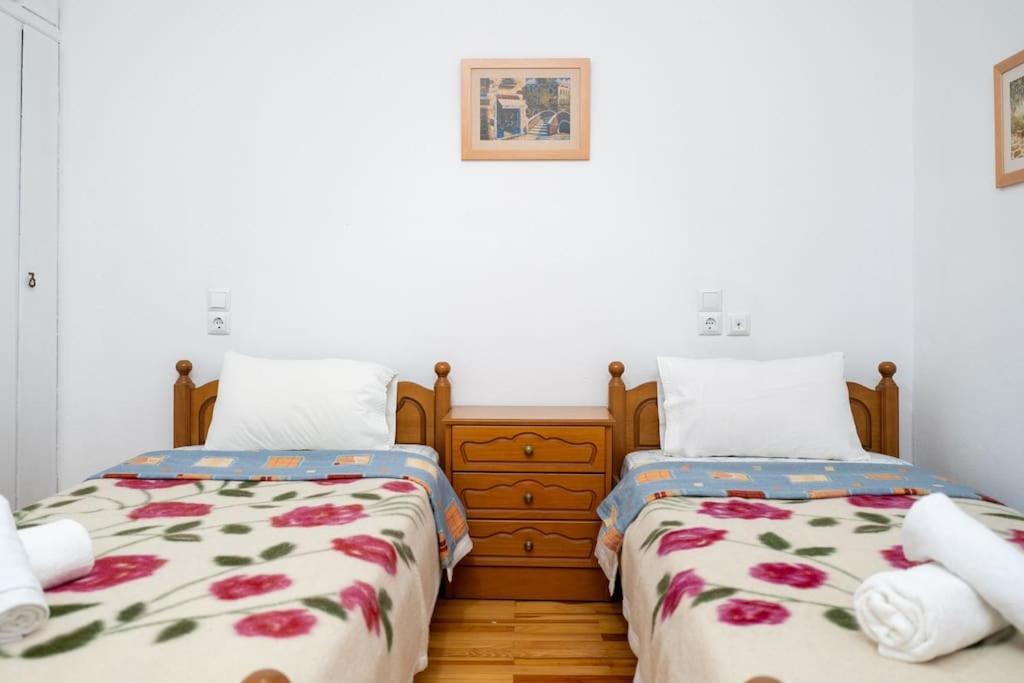 Theoni Central Apartment Каламбака Екстер'єр фото